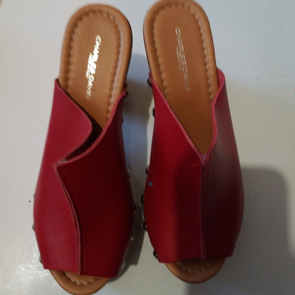 Charles david size 6.5 heels